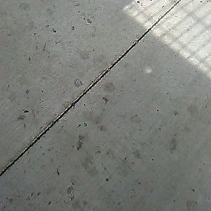 Meet your Posher, Frank